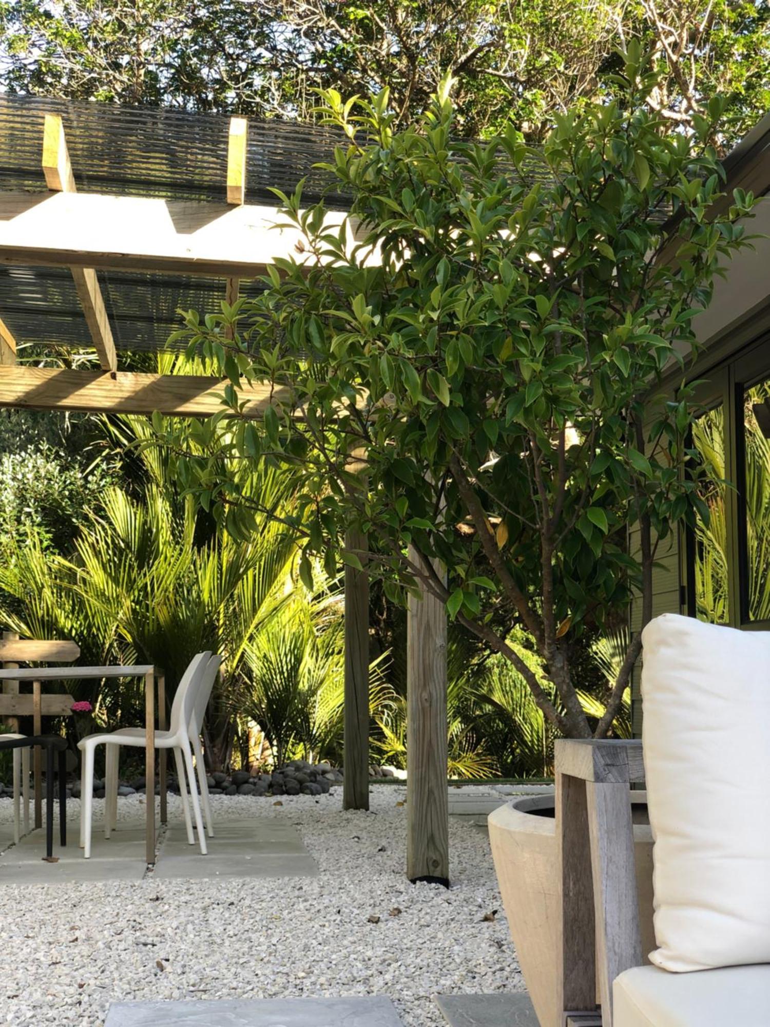Villetta - Matakana Boutique Luxury Accommodation Buitenkant foto