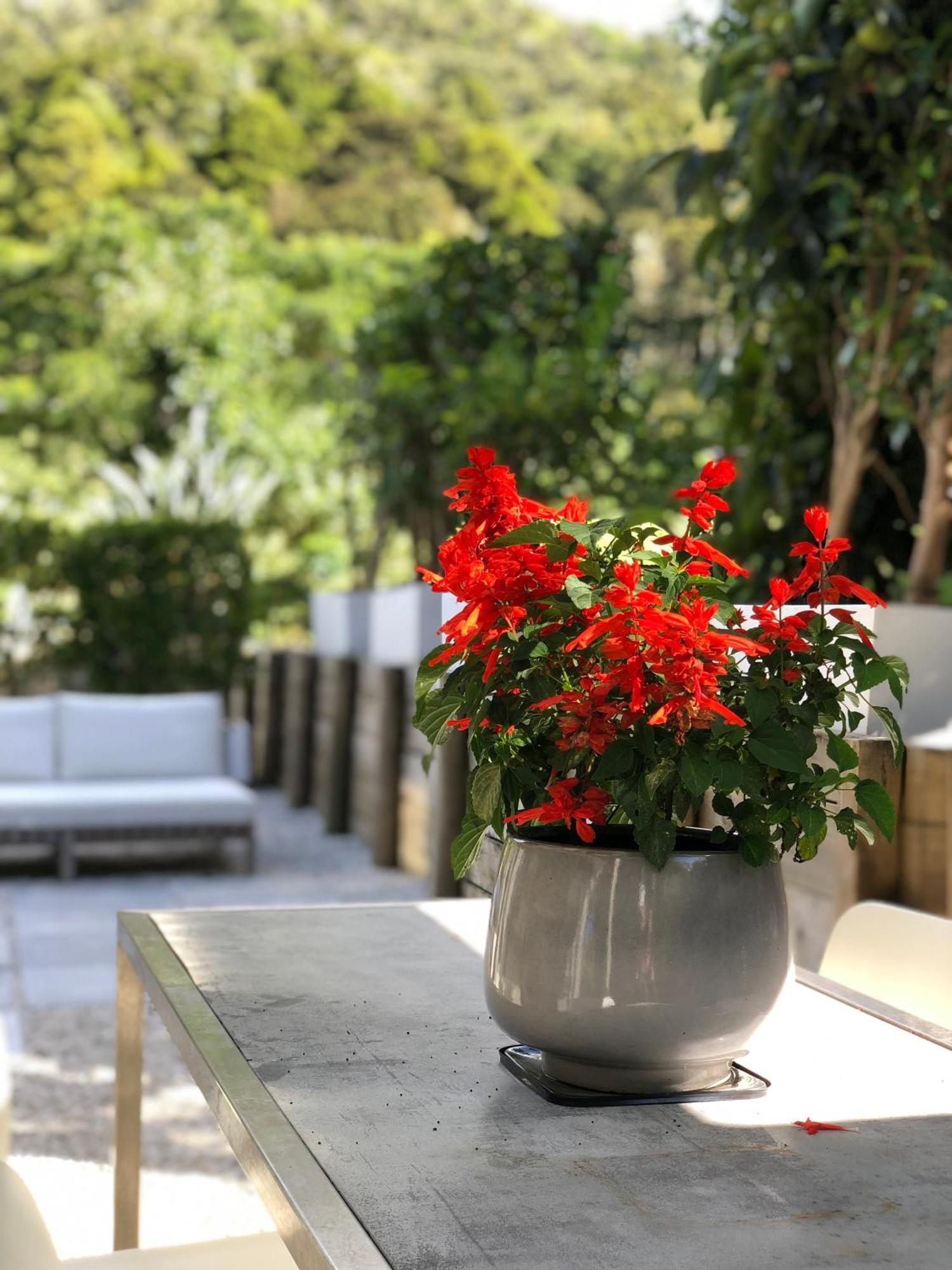 Villetta - Matakana Boutique Luxury Accommodation Buitenkant foto